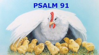 भजन 91