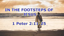 1 पतरस 2:11-25